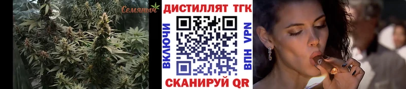 ТГК Wax  Ивангород 