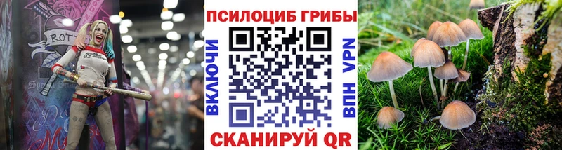 Галлюциногенные грибы прущие грибы  наркота  Ивангород 